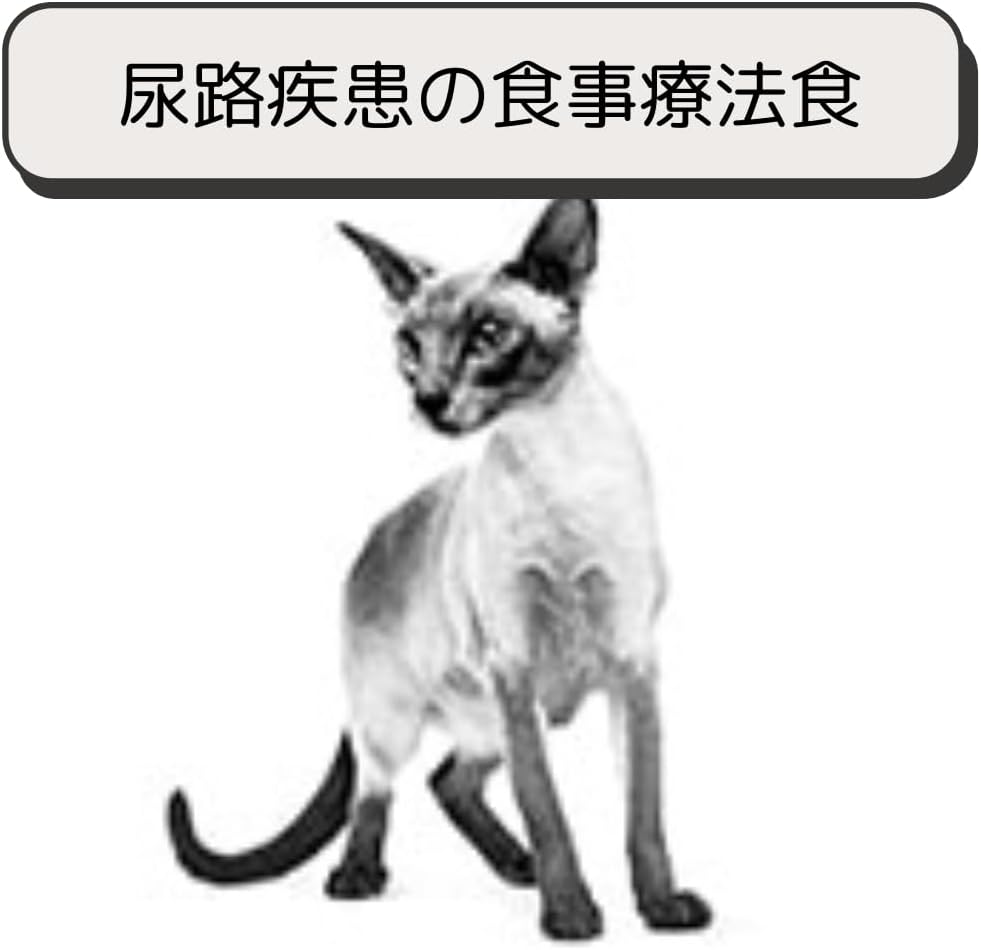 ロイヤルカナン 猫 キャットフード ユリナリー S/O オルファクトリー ライト 2kg 尿路疾患 療法食 ドライ ネコ 肥満 (2kg, オルファクトリー ライト)