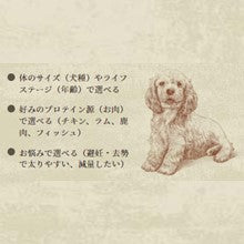 Nutro ナチュラルチョイス 超小型犬~小型犬用 減量用 成犬用 チキン&玄米 3kg ドライフード 小粒 総合栄養食 ドッグフード 犬 自然素材 香料・着色料 無添加 ニュートロ