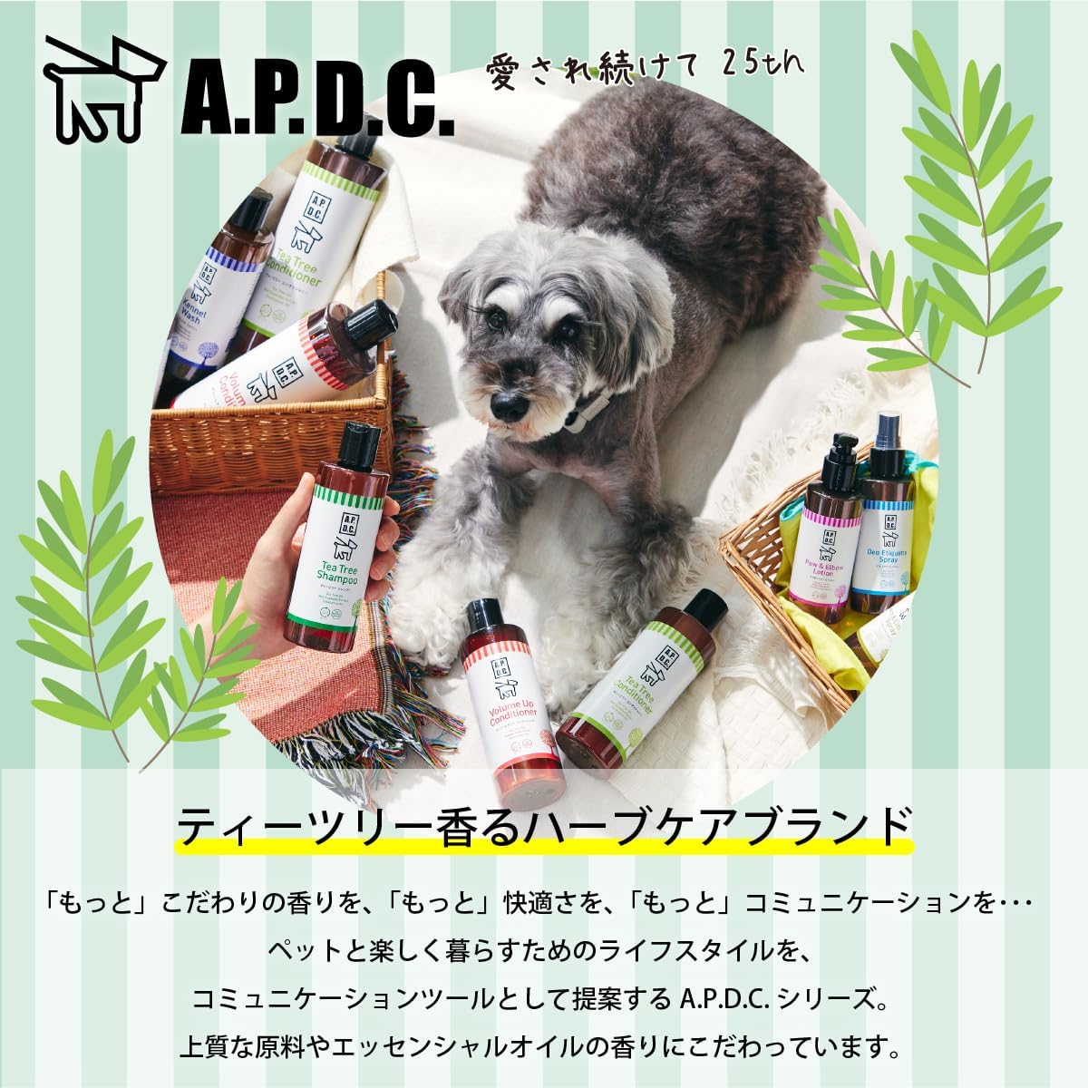 A.P.D.C. ティーツリー コンディショナー 全犬種対応 ニオイもどり抑制 保湿 さらツヤ 仕上がり ナチュラル成分配合 トリマー推奨品 ハーブ ティーツリーの香り 犬用 ペット リンス トリートメント たかくら新産業