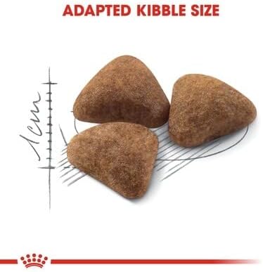 ロイヤルカナン FHN インドア 2Kg 猫用