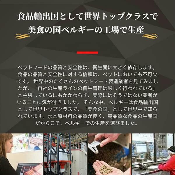 ブラバンソンヌ 成猫用 キャットフード オーシャンフィッシュ 2.5kg ベルギー産 ドライ 小粒 ローグレイン 消化器ケア 尿路ケア 腎臓ケア BRABANCONNE