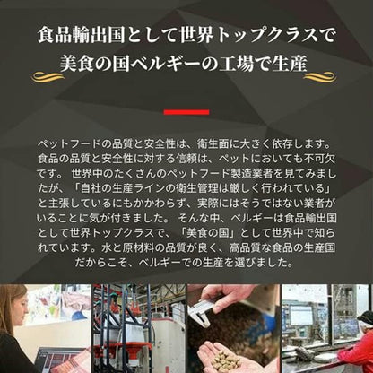 ブラバンソンヌ 成猫用 キャットフード オーシャンフィッシュ 2.5kg ベルギー産 ドライ 小粒 ローグレイン 消化器ケア 尿路ケア 腎臓ケア BRABANCONNE