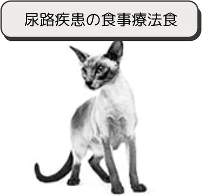 ロイヤルカナン 猫 キャットフード ユリナリー S/O オルファクトリー ライト 2kg 尿路疾患 療法食 ドライ ネコ 肥満 (2kg, オルファクトリー ライト)
