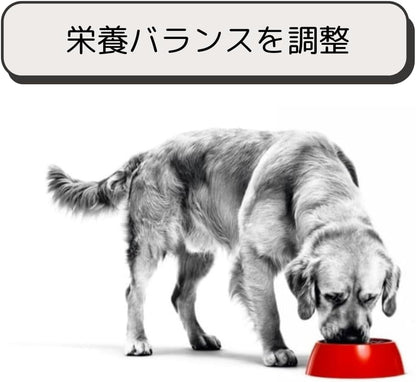ロイヤルカナン 猫 キャットフード ユリナリー S/O オルファクトリー ライト 2kg 尿路疾患 療法食 ドライ ネコ 肥満 (2kg, オルファクトリー ライト)