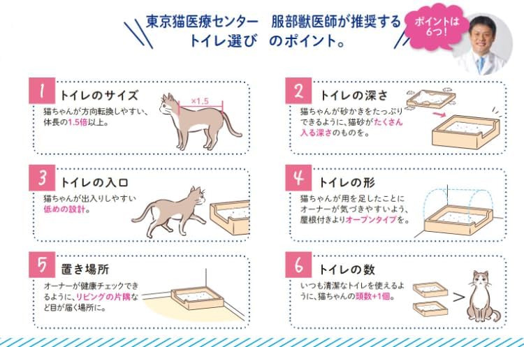 ライオン 猫砂 ニオイをとる砂 5.5Lx4袋 鉱物タイプ 無香料 全自動猫トイレ対応 LION PET