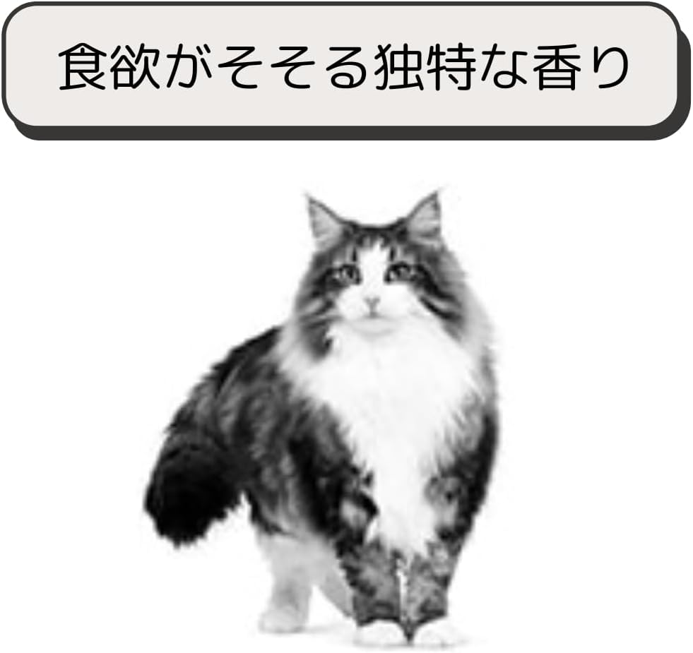 ロイヤルカナン 猫 キャットフード ユリナリー S/O オルファクトリー ライト 2kg 尿路疾患 療法食 ドライ ネコ 肥満 (2kg, オルファクトリー ライト)