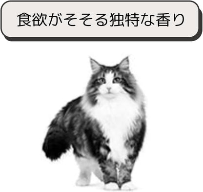 ロイヤルカナン 猫 キャットフード ユリナリー S/O オルファクトリー ライト 2kg 尿路疾患 療法食 ドライ ネコ 肥満 (2kg, オルファクトリー ライト)