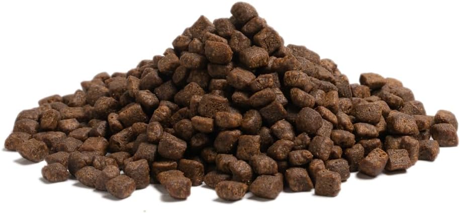 エッセンシャル ドッグフード ハイランドリビング 2.5kg 全犬種 成犬～ グレインフリー ヒューマングレード （香料・着色料不使用） ターキー サーモン ビーフ ドライ フード 【ESSENTIAL FOODS】 EDFH
