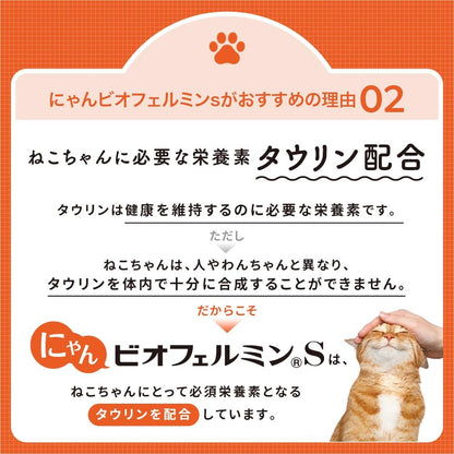 大正製薬 にゃんビオフェルミンS 1袋/40g【猫用健康補助食品】乳酸菌 ビフィズス菌 タウリン配合 腸活 おなかの健康 粉末サプリ 国産 計量スプーン付き 猫 サプリ