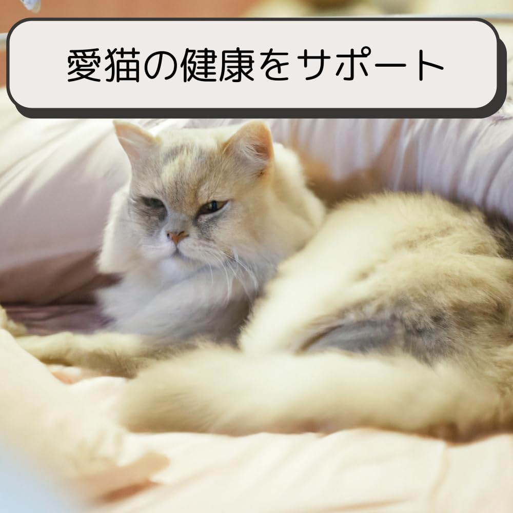 ロイヤルカナン 猫 キャットフード ユリナリー S/O オルファクトリー ライト 2kg 尿路疾患 療法食 ドライ ネコ 肥満 (2kg, オルファクトリー ライト)