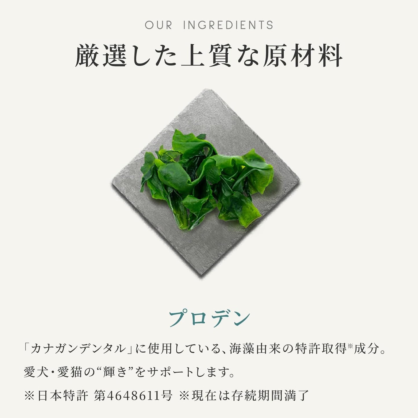 カナガン デンタル キャットフード（1.5kg）全猫種 全年齢対応 【着色料・香料不使用/グレインフリー/特許取得の海藻成分配合】Canagan CCFTCD