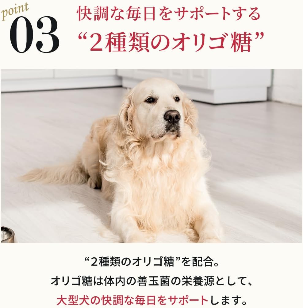 ネルソンズ ドッグフード （5kg） 全犬種 全年齢 対応 中型犬 大型犬 向け 大容量 【着色料・香料不使用 グレインフリー】 Nelsons NLS