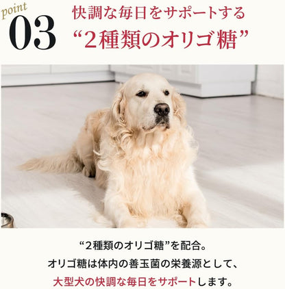 ネルソンズ ドッグフード （5kg） 全犬種 全年齢 対応 中型犬 大型犬 向け 大容量 【着色料・香料不使用 グレインフリー】 Nelsons NLS