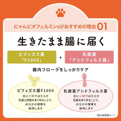 大正製薬 にゃんビオフェルミンS 1袋/40g【猫用健康補助食品】乳酸菌 ビフィズス菌 タウリン配合 腸活 おなかの健康 粉末サプリ 国産 計量スプーン付き 猫 サプリ