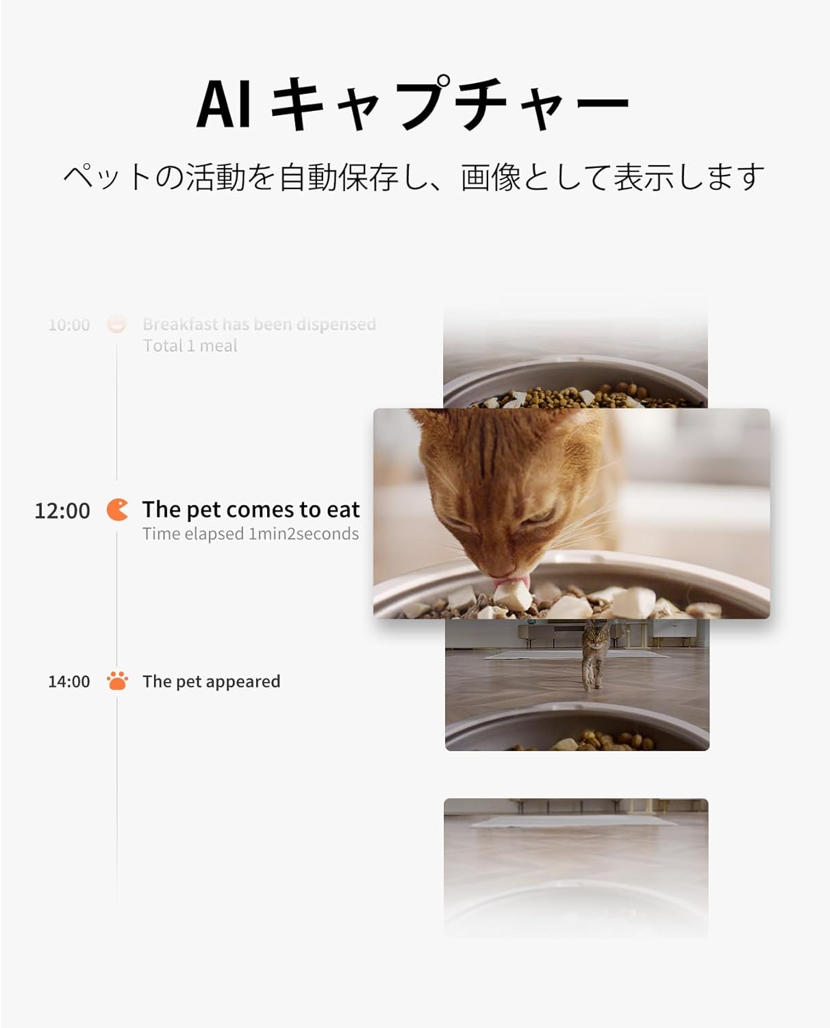 PETKIT 自動給餌器 猫 中小型犬用 タンク二層化 カメラ付き 1080P 暗視機能 双方向会話 透明な窓口 感知センサーを搭載 タイマー式 スマホ管理 2WAY給電 IOS Android対応 日本語対応アプリ (シングルホッパー カメラ付き)