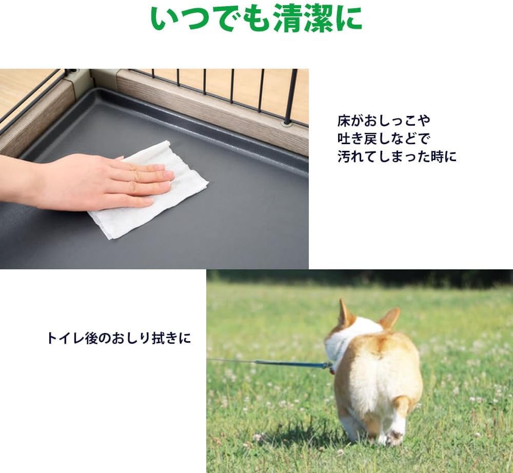 アイリスオーヤマ ペット ウェットティッシュ3P 80枚×3パック【8個セット】DPWT-3P