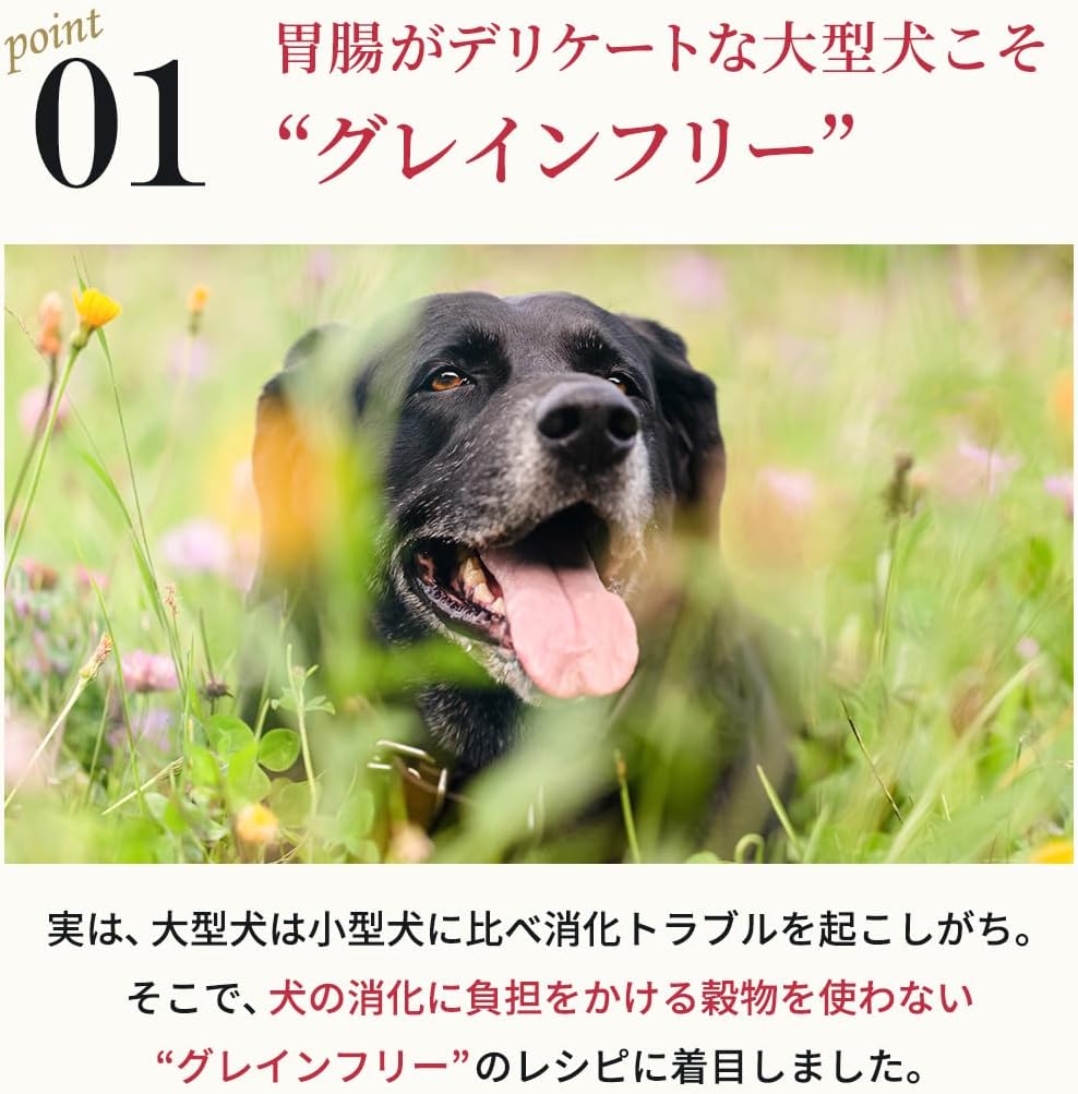 ネルソンズ ドッグフード （5kg） 全犬種 全年齢 対応 中型犬 大型犬 向け 大容量 【着色料・香料不使用 グレインフリー】 Nelsons NLS