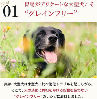 ネルソンズ ドッグフード （5kg） 全犬種 全年齢 対応 中型犬 大型犬 向け 大容量 【着色料・香料不使用 グレインフリー】 Nelsons NLS