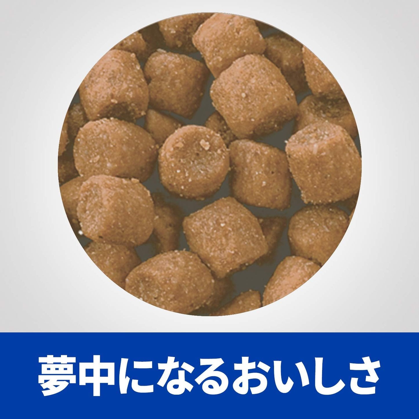 ヒルズ プリスクリプションダイエット キャットフード ドライ c/d シーディー マルチケア フィッシュ入り 尿ケア 猫用 特別療法食 2kg