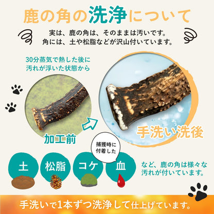 モノライフ 鹿の角 犬 噛むおもちゃ 無添加 おやつ 噛む 犬用 おもちゃ エゾジカ 国産 鹿 角 ガム 歯磨き デンタルケア 大型犬 20cm