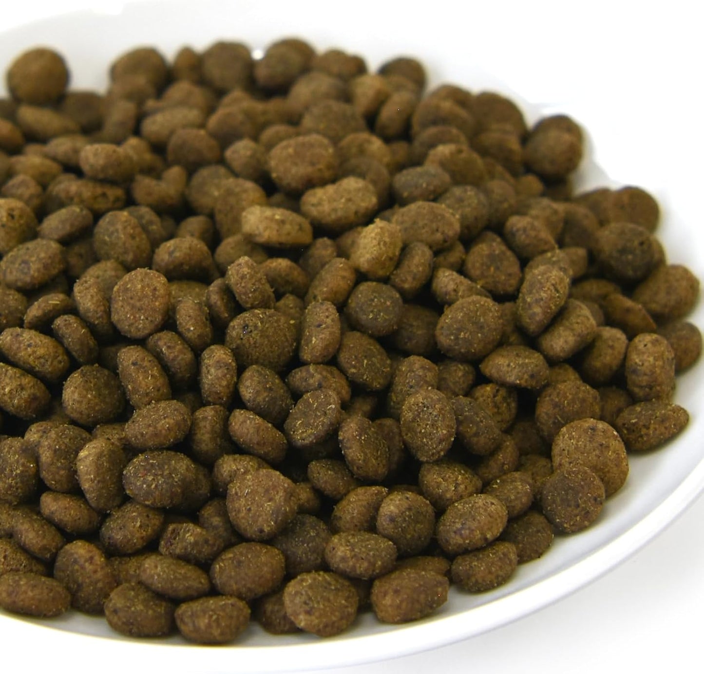 POCHI ザ・ドッグフード エイジングケア シニア ラム 1kg ポチ グレインフリー 低脂肪