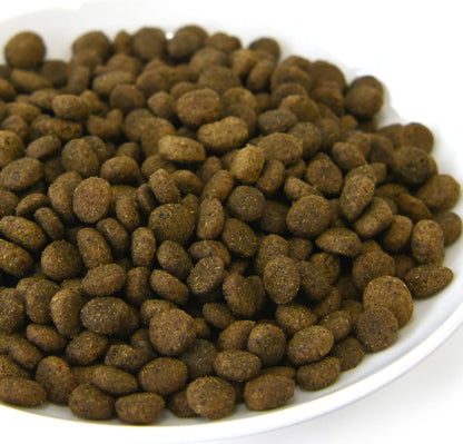 POCHI ザ・ドッグフード エイジングケア シニア ラム 1kg ポチ グレインフリー 低脂肪