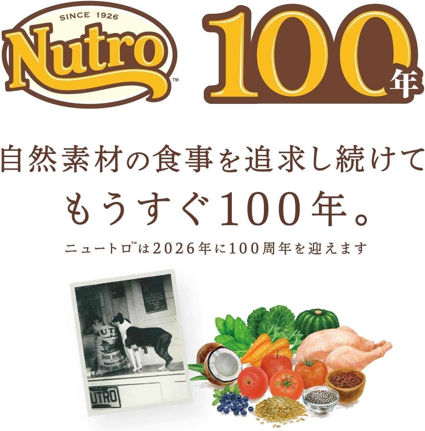 Nutro シュプレモ 子犬用 全犬種用 チキン 3kg ドライフード 小粒 総合栄養食 子いぬ用 パピー 妊娠期/授乳期の母犬 仔犬用 ドッグフード 犬 厳選自然素材 香料・着色料 無添加 ニュートロ