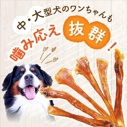 健康いぬ生活 馬肉 アキレス ジャーキー BIG 120g 犬 おやつ 無添加 ガム 国産 長持ち 歯磨きガム アキレス腱 犬用 日本製 アキレススティック ハード