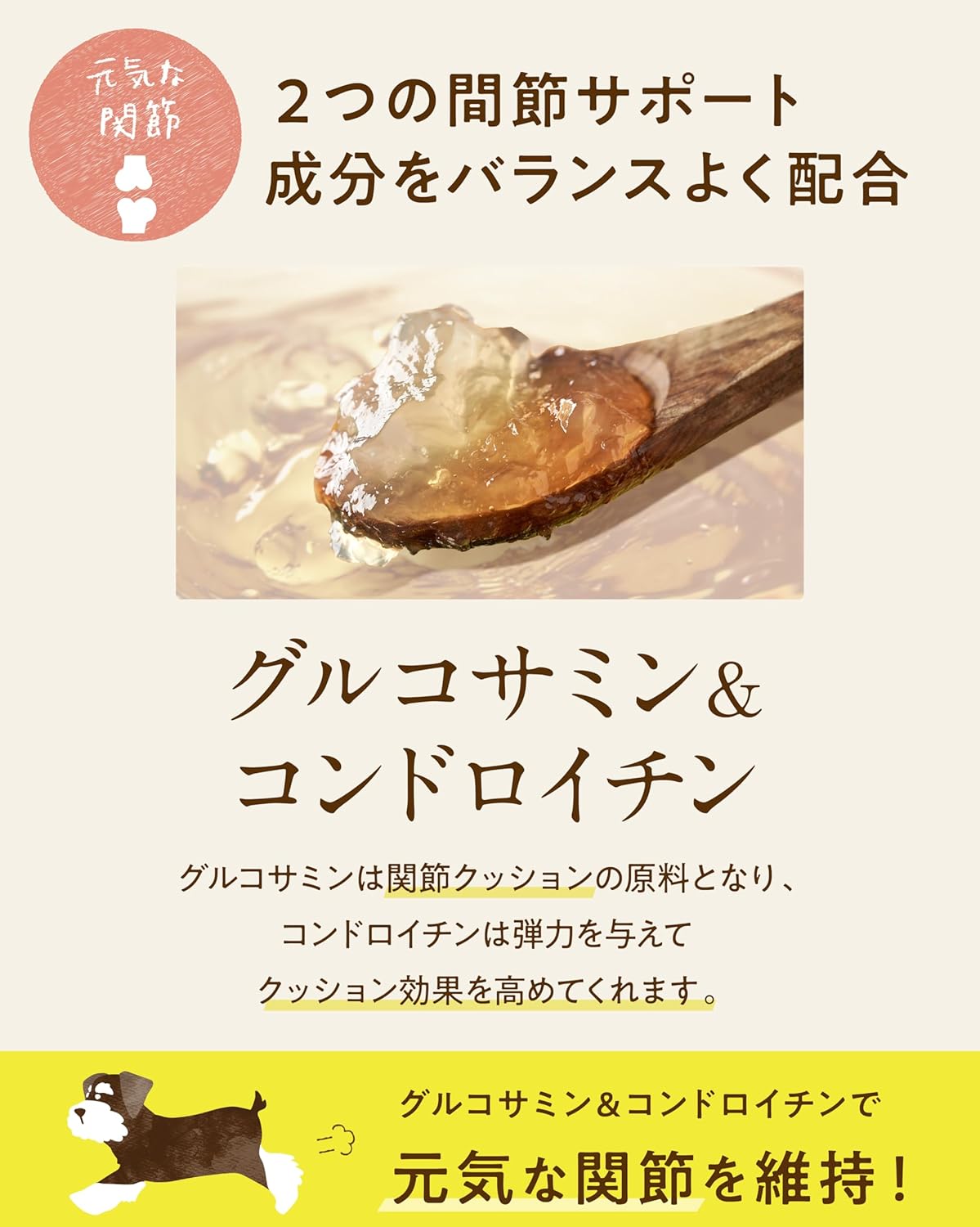 コノコトトモニ シニアのための このこのごはん （ シニア ドッグフード 機能性 / 1kg ） 犬の餌 全犬種 [ 国産 無添加 厳選自然素材 ] ペットフード ドライ ドックフード 小型/中型/大型犬 子犬 小麦グルテンフリー 低カロリー このこの御飯 (1袋)