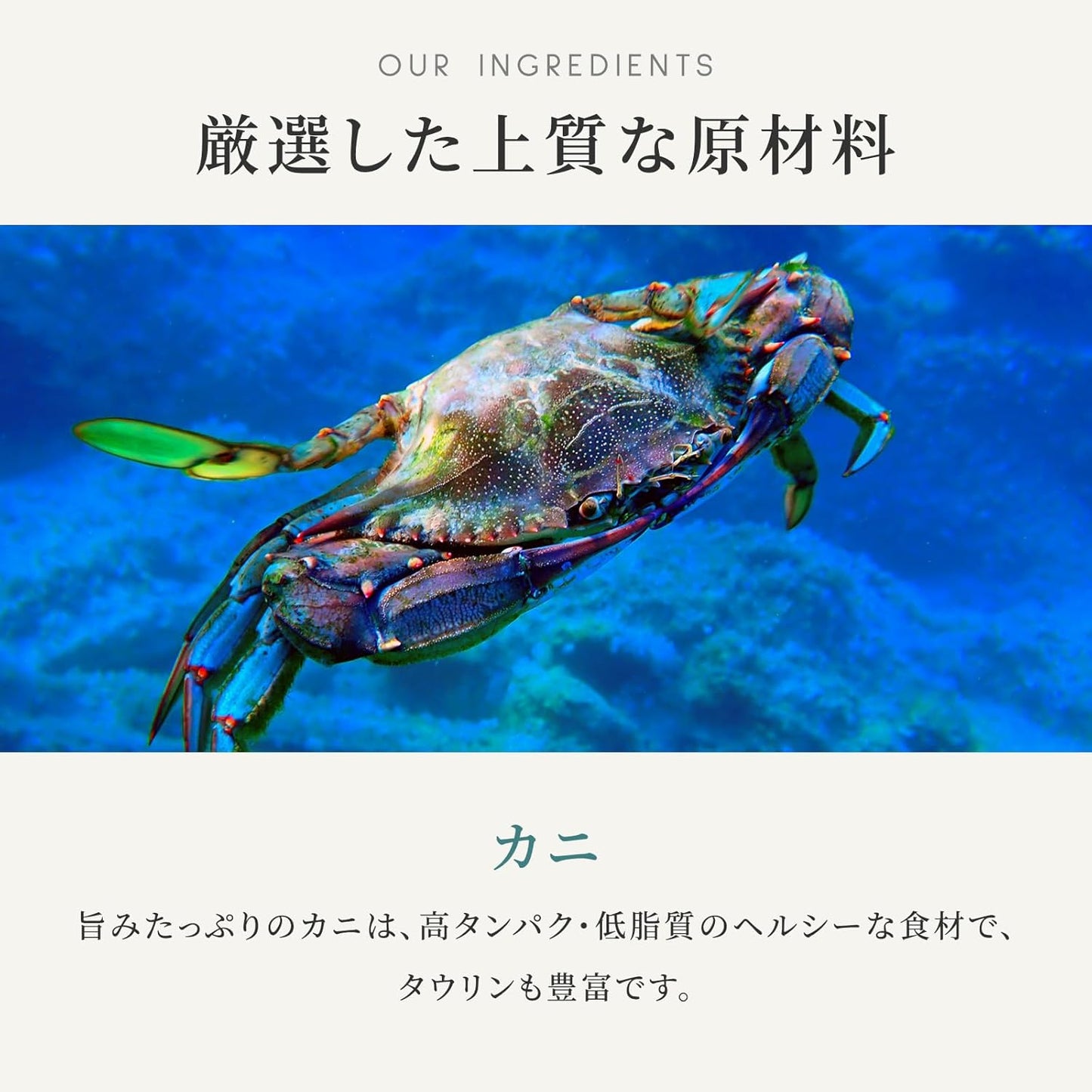カナガン キャットフード マグロ＆カニ 缶詰 (75g×12缶) ウェットフード [まとめ買い] 全猫種・全年齢 対応 ウェットタイプ 【着色料・香料不使用 グレインフリー】 CANAGAN 12CNKMK