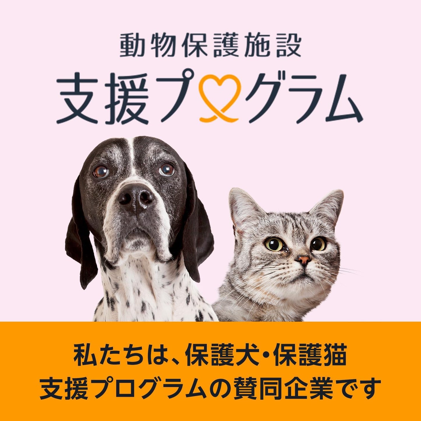 ニャンとも清潔トイレ 猫砂 [天然素材でパワフルに脱臭] 脱臭・抗菌チップ 小さめの粒 2.5L×6個 システムトイレ 猫用 消臭 ネコ砂 (ケース販売)