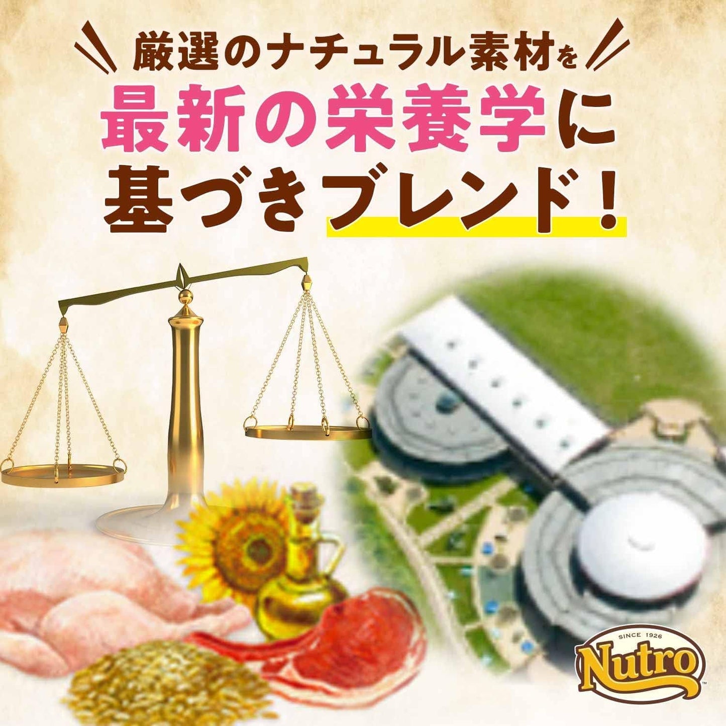 Nutro ナチュラルチョイス 小型犬用 成犬用 生後8ヶ月以上 チキン&玄米 3kg ドライフード 小粒 総合栄養食 ドッグフード 犬 自然素材 香料・着色料 無添加 ニュートロ