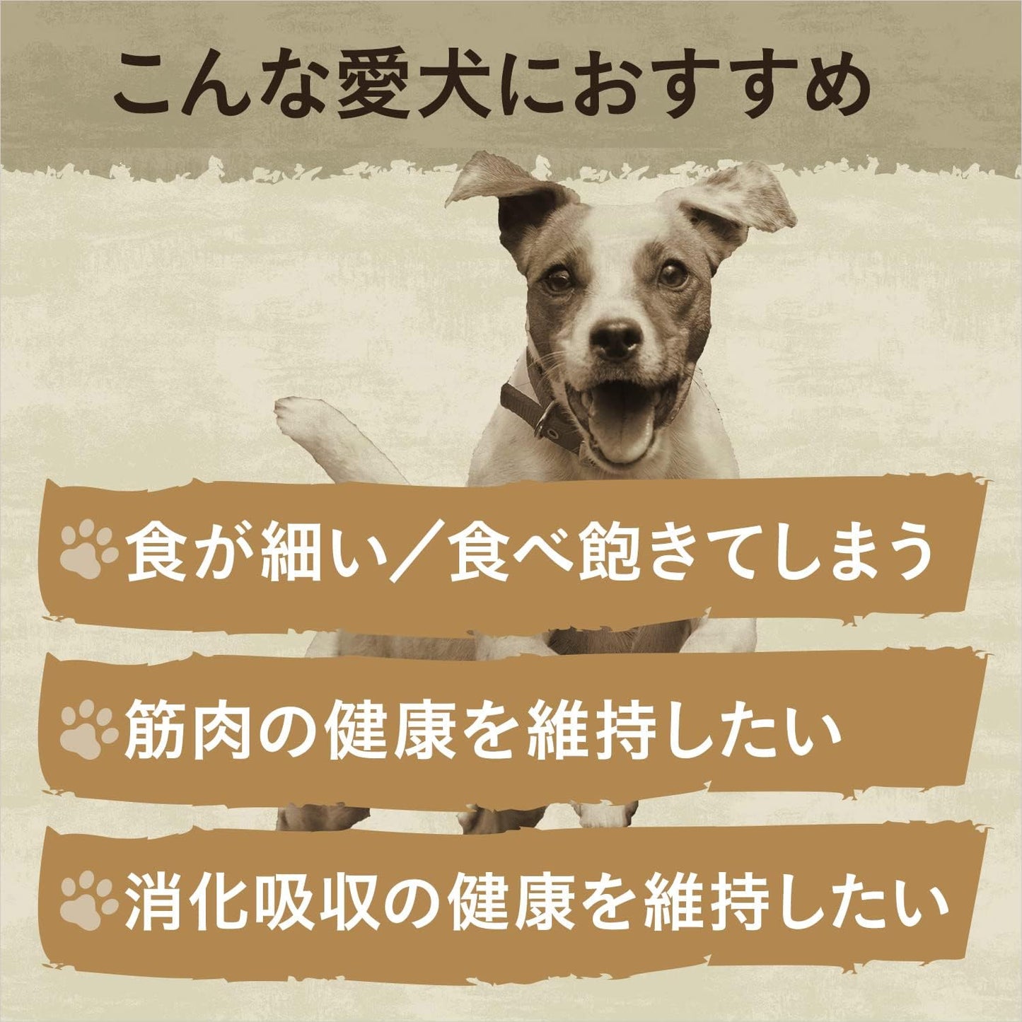Nutro ワイルドレシピ 超小型犬~小型犬用 グレインフリー 成犬用 ターキー 2kg ドライフード 総合栄養食 ドッグフード 犬 穀物フリー 香料・着色料 無添加 ニュートロ