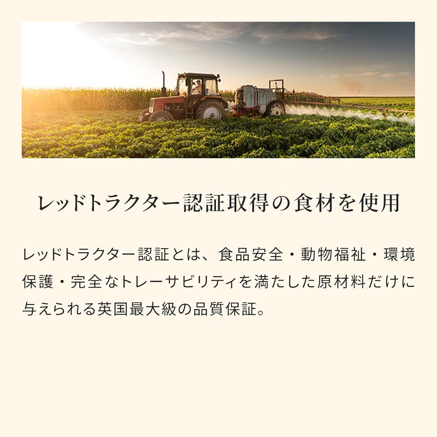 エッセンシャル ドッグフード エステートリビング 缶詰 400g×1缶 全犬種 成犬～ グレインフリー （香料・着色料不使用） ターキー・ラム ウェット フード 【ESSENTIAL FOODS】 1EIKE