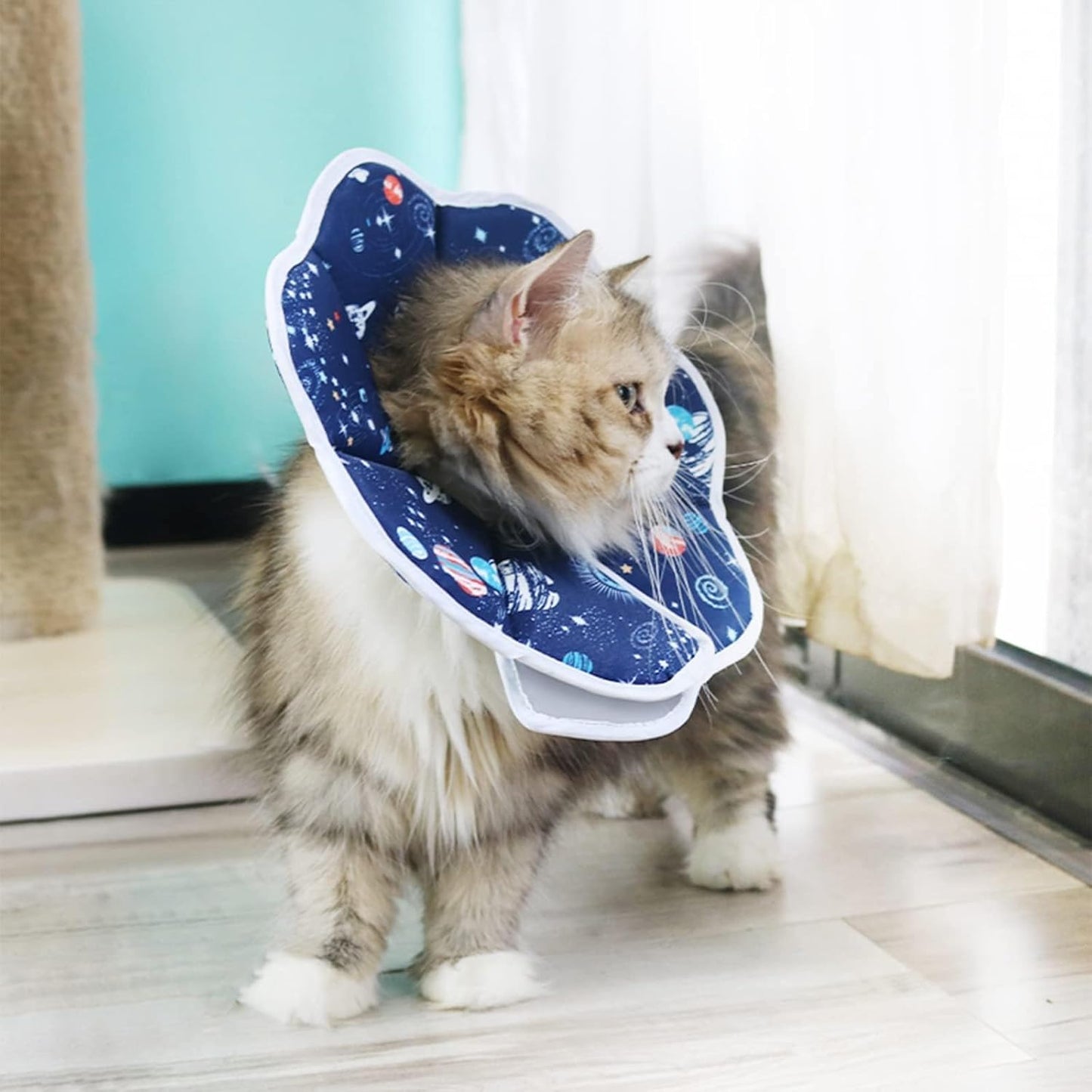 エリザベスカラー ソフトエリザベスカラー 小型犬用 猫用 ペット 軽量 ソフト 簡単装着 術後傷口保護 傷舐め防止 引っ掻き防止 (宇宙デザイン)