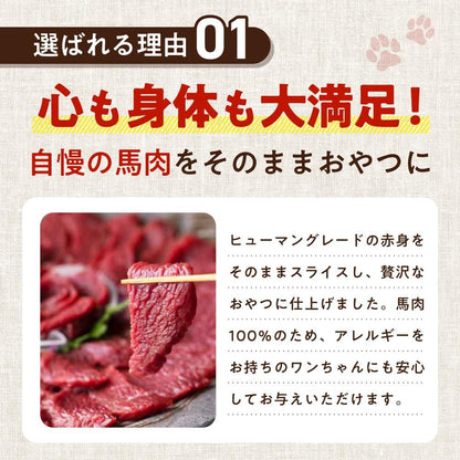 健康いぬ生活 犬 おやつ 馬肉 100% ジャーキー 120g (40g×3袋) 国産 無添加 高たん ぱく 鉄分 アレルギー オヤツ グルテンフリー アレルギー対応 犬用 低脂肪
