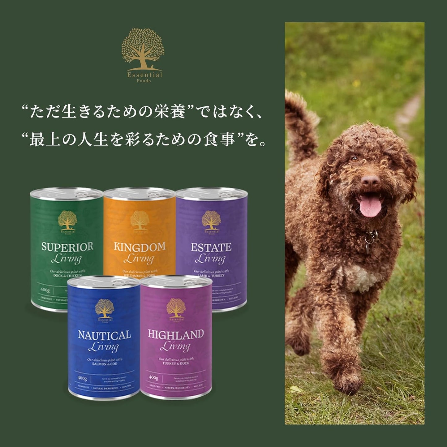 エッセンシャル ドッグフード エステートリビング 缶詰 400g×1缶 全犬種 成犬～ グレインフリー （香料・着色料不使用） ターキー・ラム ウェット フード 【ESSENTIAL FOODS】 1EIKE