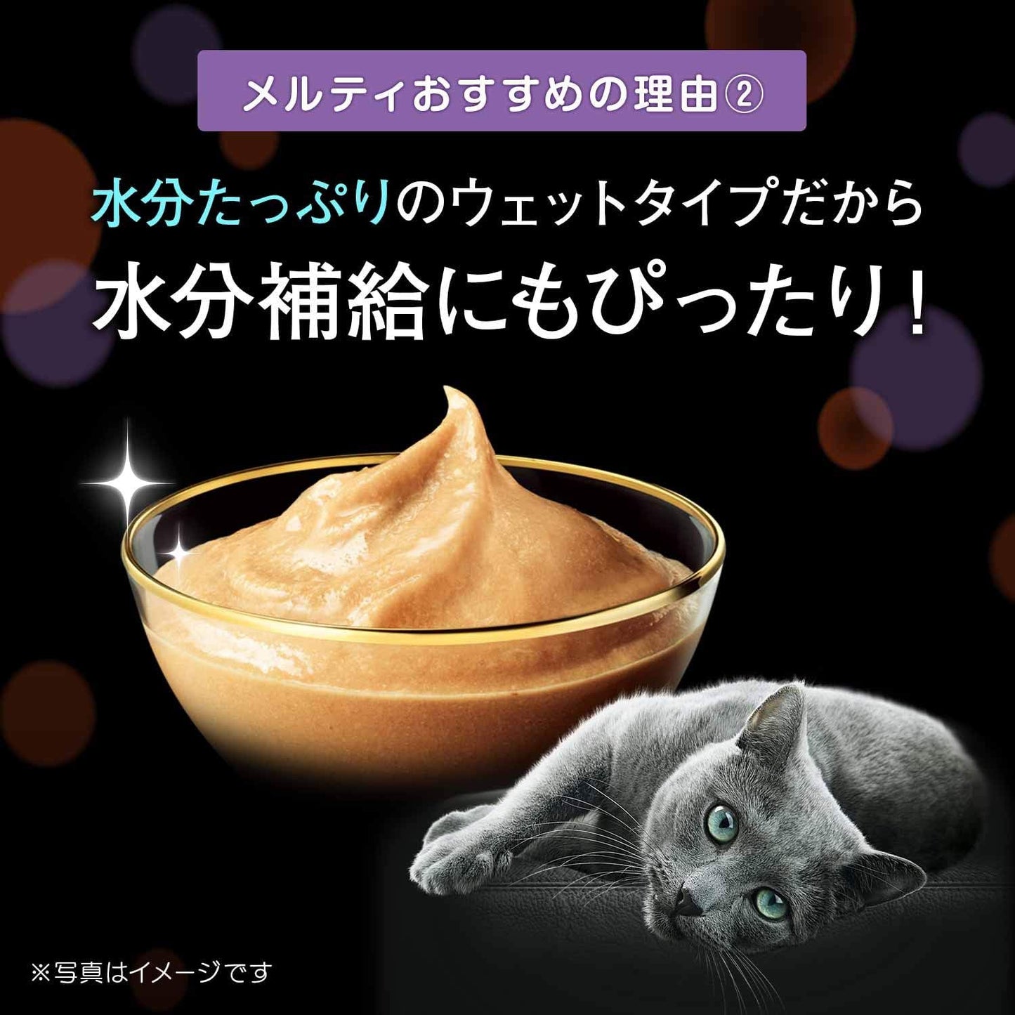 シーバ とろ~り メルティ おやつ 成猫用 まぐろ味&かつお味 贅沢5種バラエティ 12g×55本 キャットフード 猫 Sheba Melty メール便 大容量 まとめ買い