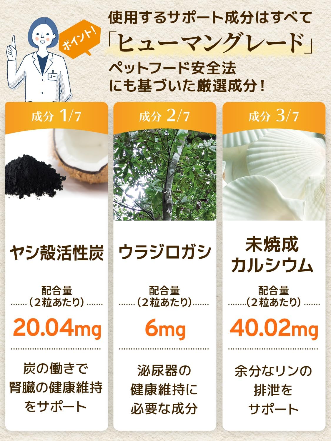 毎日腎活 猫 腎臓ケア サプリ 国産 無添加 成分量明記【7成分配合】 ヤシ殻活性炭 ウラジロガシ 腎臓サポート 尿路ケア ＜カツオ味錠剤 猫用 サプリメント １袋60粒入＞[ウィズペティ公式]