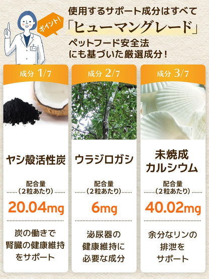 毎日腎活 猫 腎臓ケア サプリ 国産 無添加 成分量明記【7成分配合】 ヤシ殻活性炭 ウラジロガシ 腎臓サポート 尿路ケア ＜カツオ味錠剤 猫用 サプリメント １袋60粒入＞[ウィズペティ公式]