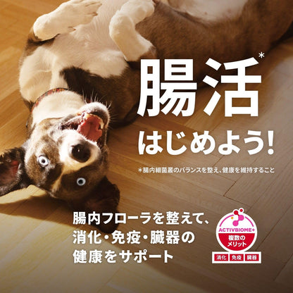 ヒルズ サイエンス・ダイエット サイエンスダイエット ドッグフード アダルト 1~6歳 小粒 ラム&ライス 3.3kg 成犬用 ドライ お試し トライアル
