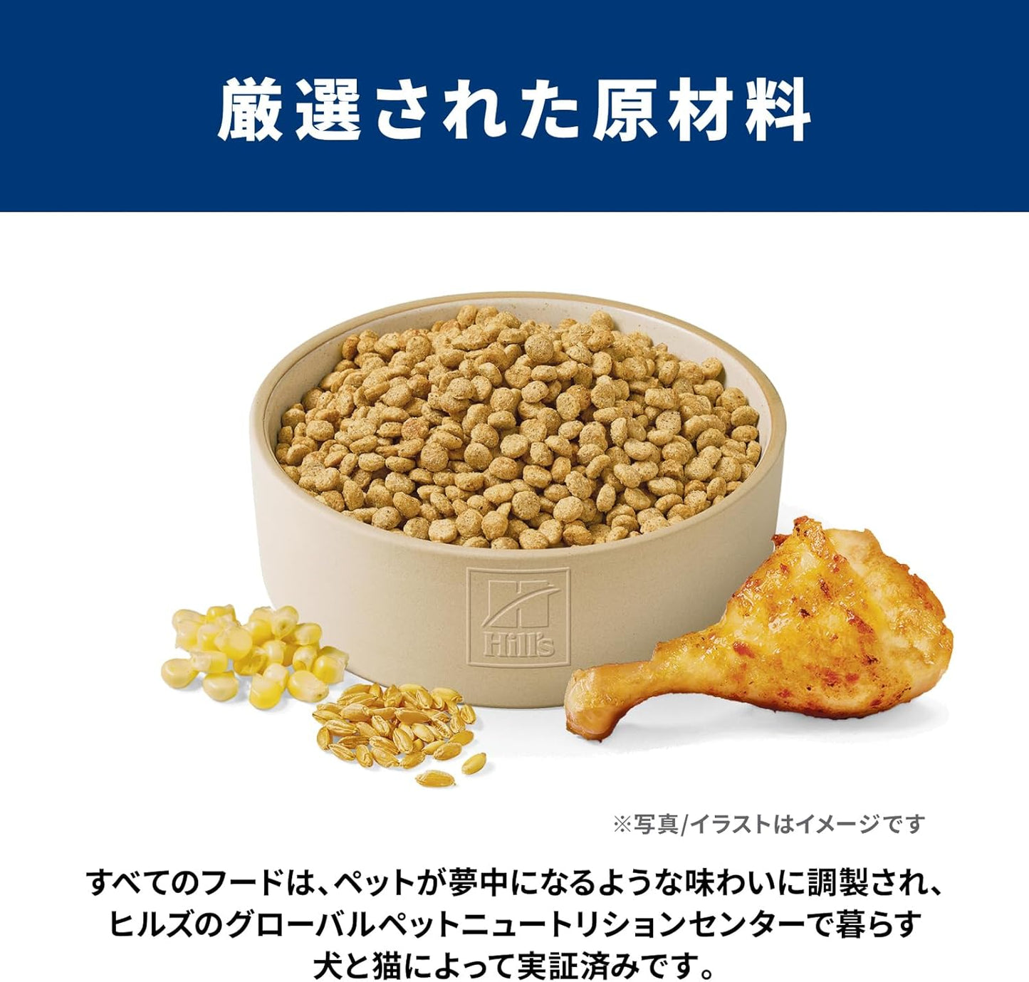 ヒルズ サイエンスダイエット ドッグフード アダルト ライト 1~6歳 小粒 チキン 6.5㎏ 成犬用 ドライ 肥満