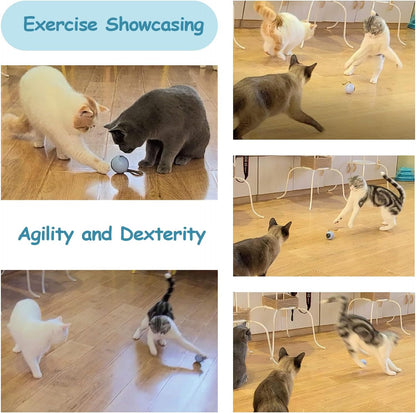 ミギポーズ（Migipaws） 猫 おもちゃ 自動 ねこのおもちゃ しっぽ付き 電動 人気 一人遊び ネコ 遊び道具 cat toy 室内用 猫運動不足解消グッズ 羽根とぬいぐるみ付き おいかけっボール（ホワイト）