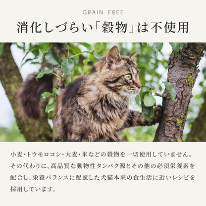 カナガン キャットフード マグロ＆サーモン 缶詰 (75g×12缶) ウェットフード [まとめ買い] 全猫種・全年齢 対応 ウェットタイプ 【着色料・香料不使用 グレインフリー】 CANAGAN 12CNKMS
