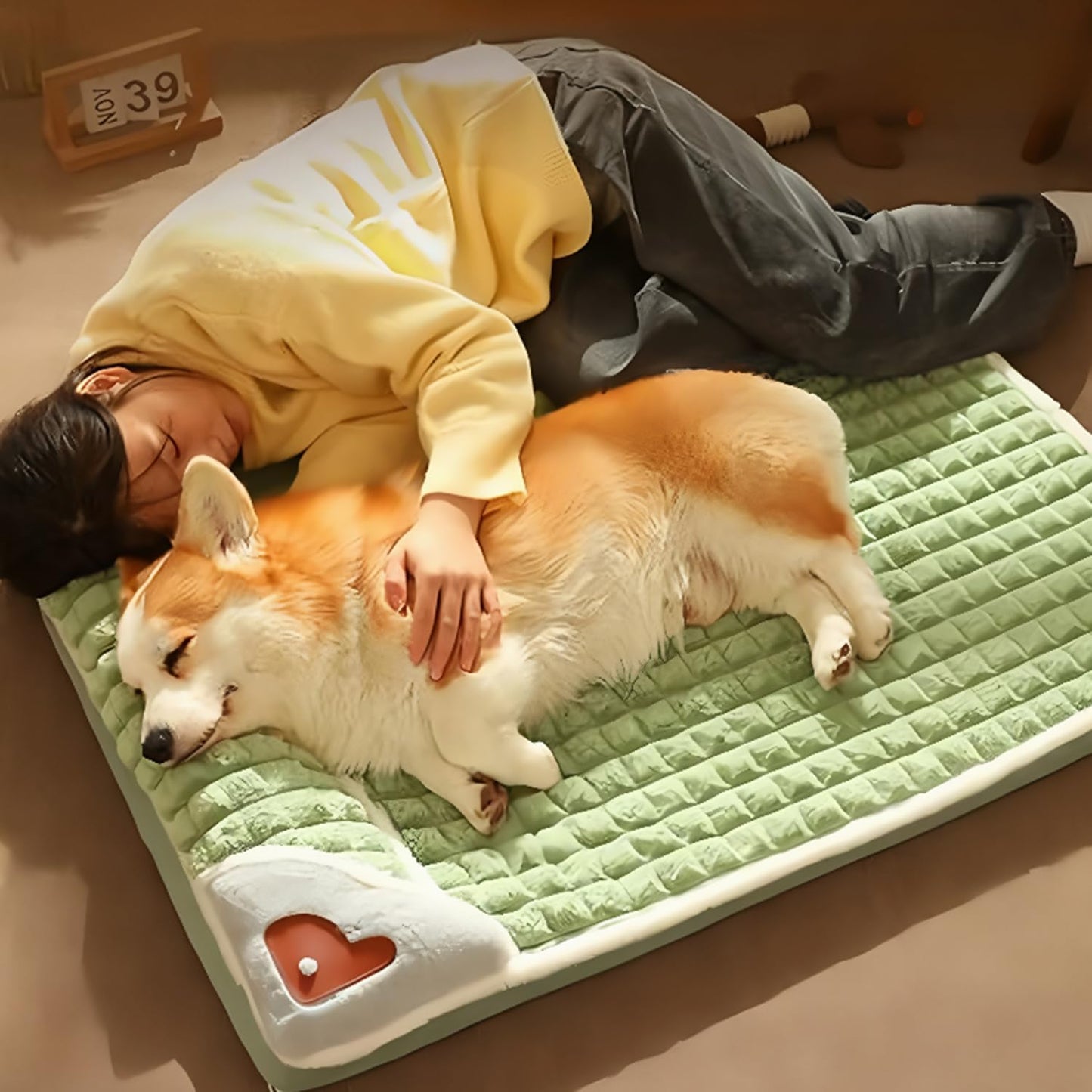 中型犬 ベッド 枕付きペットベッド 洗える 小型犬 低反発ベッド 大型犬 クッション 猫 ベッド 冬 キャットハウス ペット用マット ソファー さらさら ドライブベッド 高齢犬 ジェラートピケ 清掃しやすい 通気性 蒸れにくい 多頭飼い 取り外せるカバー 滑り止め 防水 ペット用品 犬 グッズ(チョコレート色)