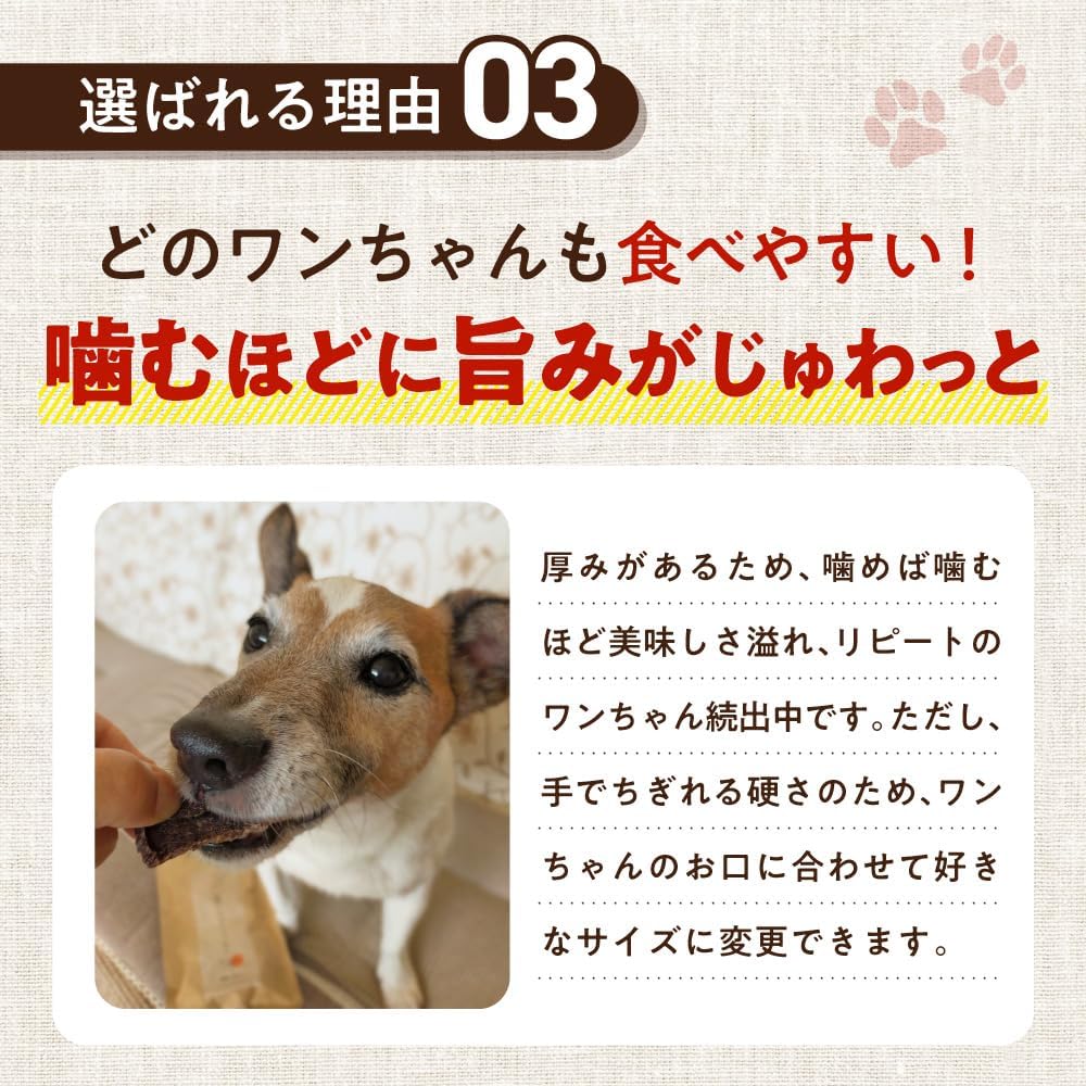 健康いぬ生活 犬 おやつ 馬肉 100% ジャーキー 120g (40g×3袋) 国産 無添加 高たん ぱく 鉄分 アレルギー オヤツ グルテンフリー アレルギー対応 犬用 低脂肪