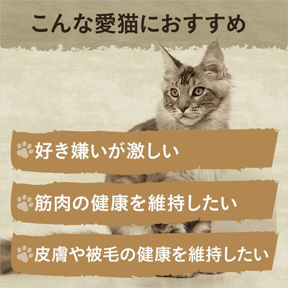 Nutro ワイルドレシピ 成猫用 グレインフリー アダルト チキン 2kg ドライフード 総合栄養食 キャットフード 猫 穀物フリー 高タンパク 厳選自然素材 香料・着色料 無添加 ニュートロ