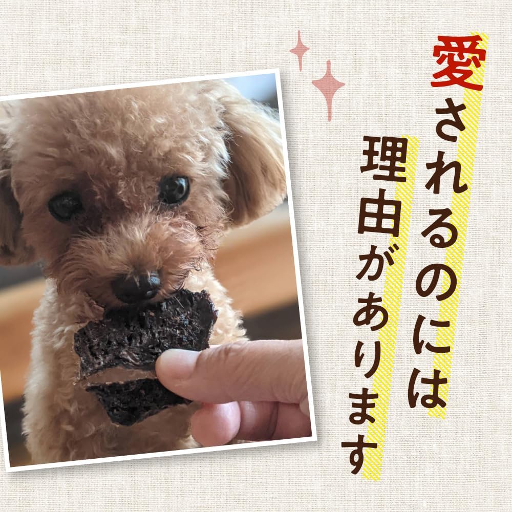 健康いぬ生活 犬 おやつ 馬肉 100% ジャーキー 120g (40g×3袋) 国産 無添加 高たん ぱく 鉄分 アレルギー オヤツ グルテンフリー アレルギー対応 犬用 低脂肪