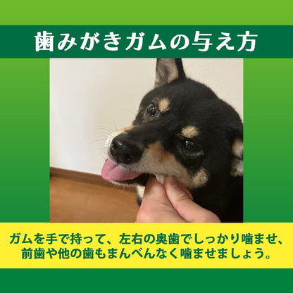 ライオン ペットキッス PETKISS 犬用おやつ 食後の歯みがきガム やわらか ジャンボパック 130gx2袋 LIONPET