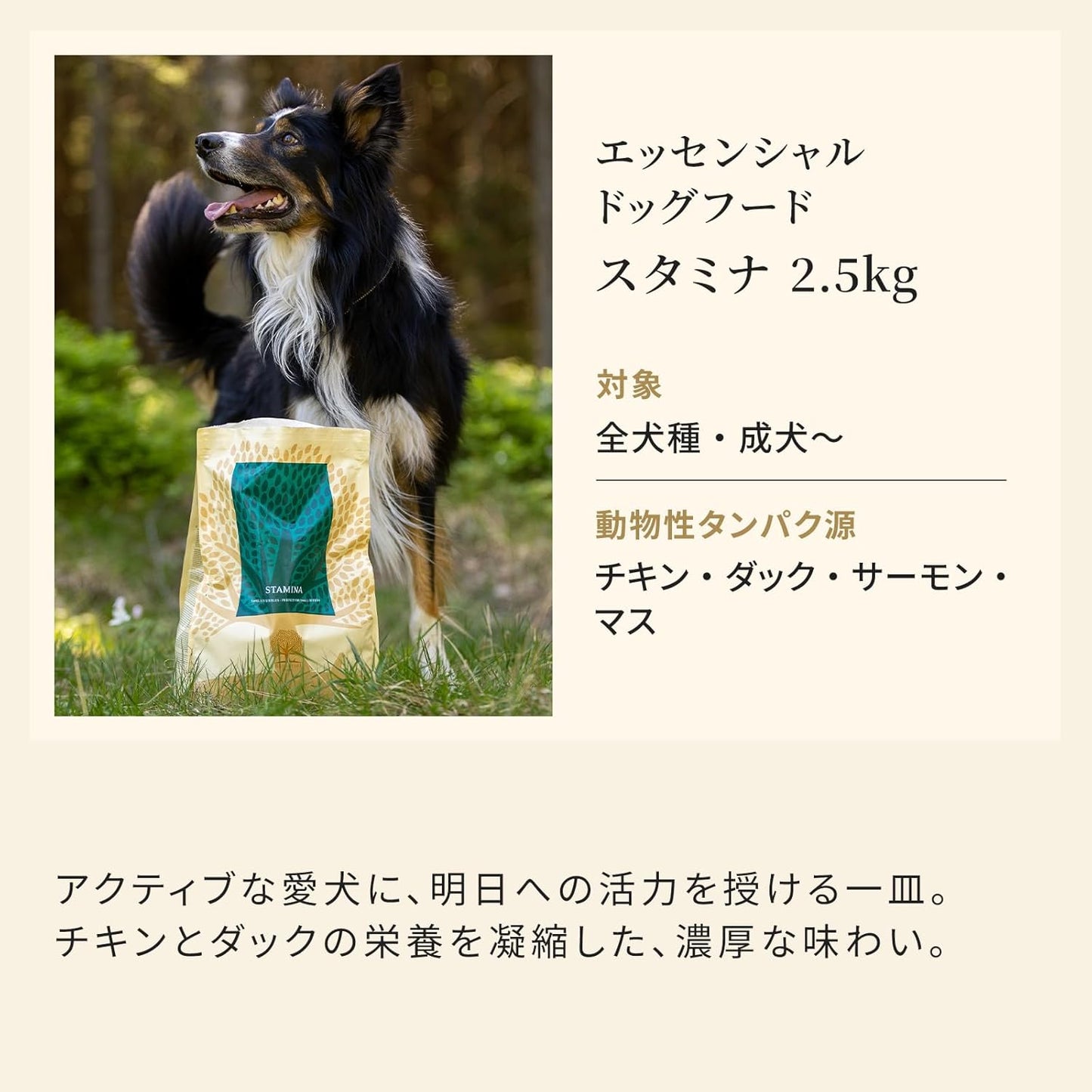 エッセンシャル ドッグフード スタミナ 2.5kg 全犬種 成犬～ グレインフリー ヒューマングレード （香料・着色料不使用） チキン ダック サーモン マス ドライ フード 【ESSENTIAL FOODS】 EDFST